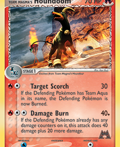 Team Magma's Houndoom